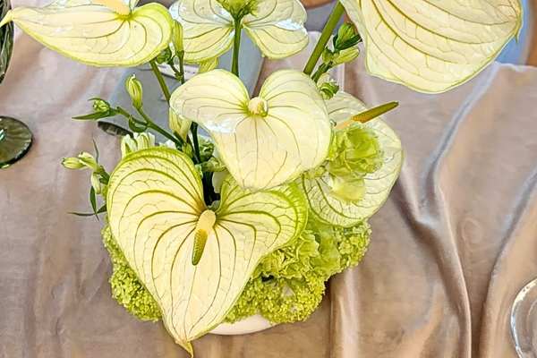 Białe lisianthus w ceramicznej wazie z zieloną gałęzią i świecą sage green